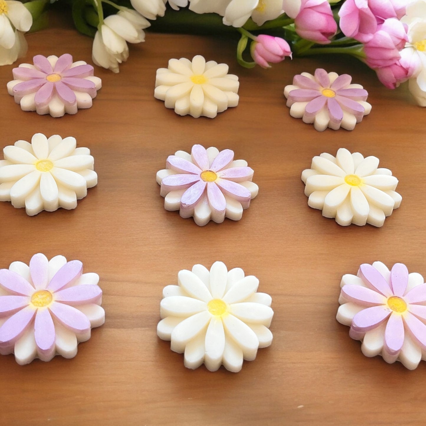 Daisy Daisy