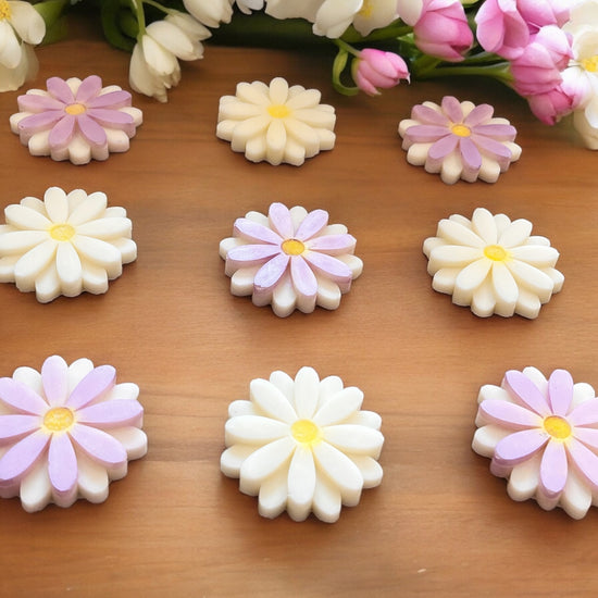 Daisy Daisy