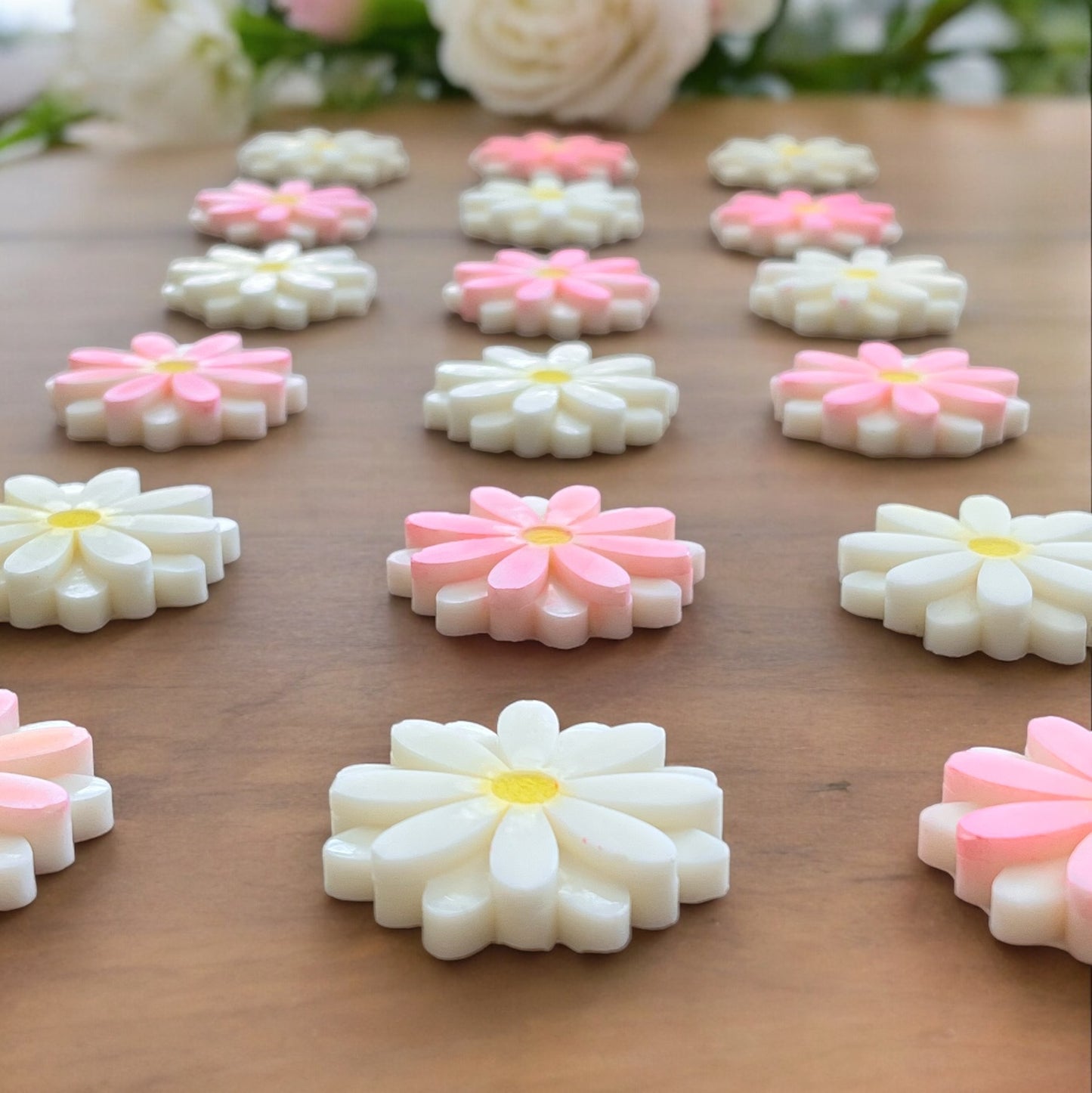 Daisy Daisy